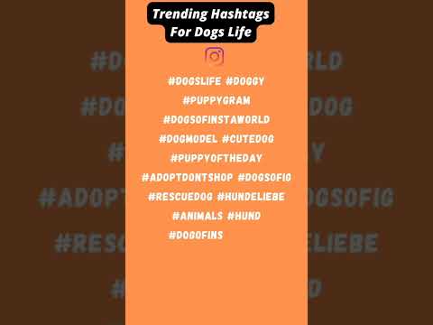 Trending Hashtags For Dogs Life☑️☑️☑️☑️☑️