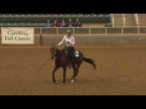 161030 Ashley Embler on A Poco Nic Chic Green