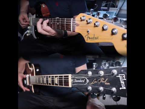 Stratocaster vs Les Paul