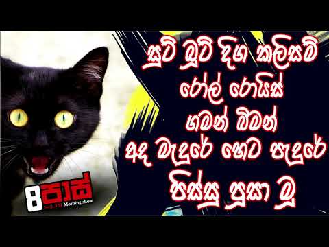 NETH FM 8 Pass Jokes 2020.04.10 - පිස්සු පූසා