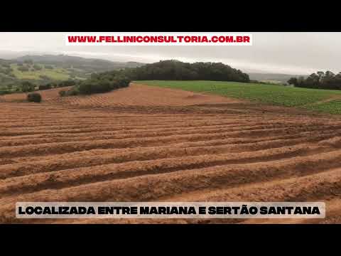 12 HA VENDO EM MARIANA PIMENTEL; ATENÇÃO BAIXOU O VALOR.