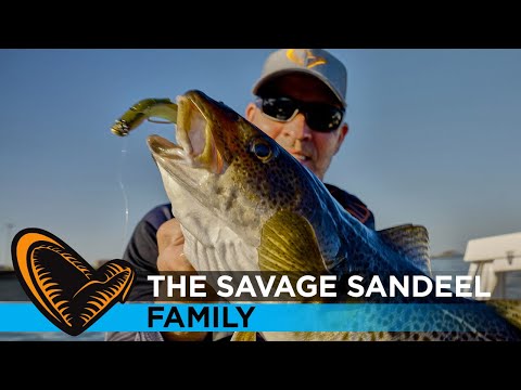 The Savage Sandeel Family - Jigging from boat with Mads Grosell for Cod