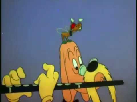 Musical Miniatures - The Overture to "William Tell" | A Walter Lantz Production