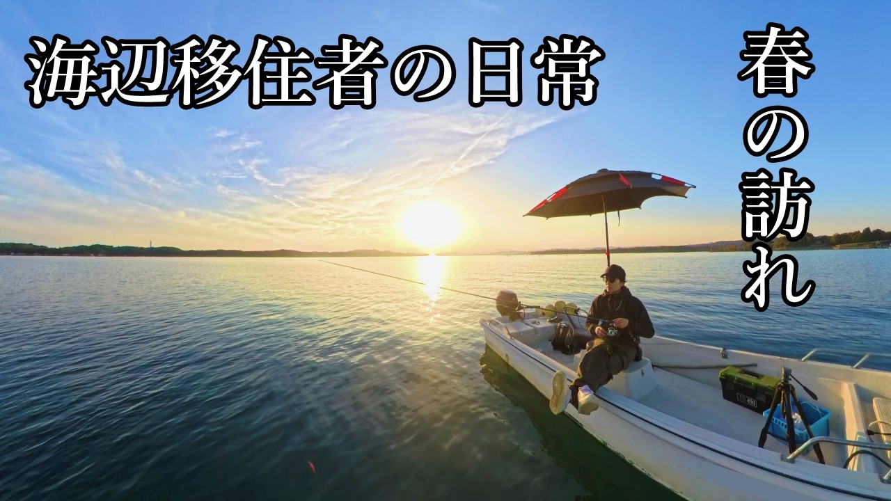 静かな春の海を独り占め、庭の海で集魚灯海の生き物観察