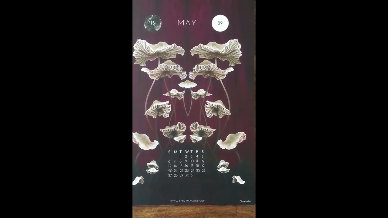 Virtual Viewing : 2018 Calendar