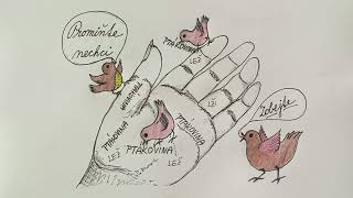 Video Čti moje řádky, animovaný klip, hudba, text, zpěv, obrázky Alice