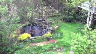 Le fil des jours 2012