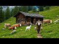 How Do People Live In Swiss Alpine Villages The Last Swiss Shepherds