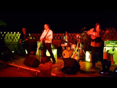 Thumbnail for Peter Buck & Band - (You Must Fight To Live) On The Planet Of The Apes by Peter Buck