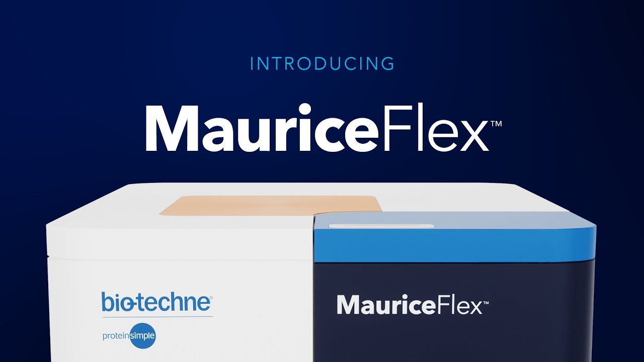 MauriceFlex: Flex Your Freedom