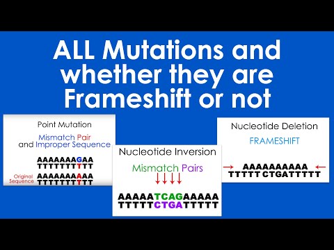 Frameshift Mutation or Not?