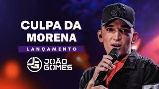 Morena Lyrics  Translation