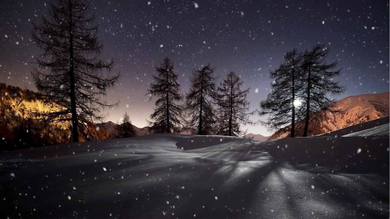 Winter Sun Animated Wallpaper - Wallpaper Engine