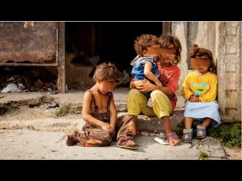 Evangelho do dia 30/10/22 / Lc 19,1-10 - Olhar