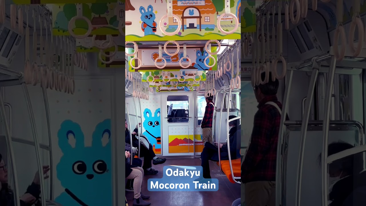 Odakyu Mocoron train #odakyu #train