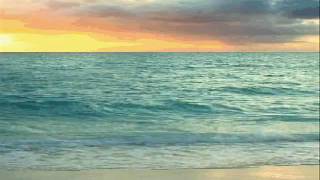 GLORIA ESTEFAN  - I AM NOT GIVING YOU UP