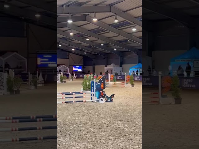 A vendre Poney B - PFS - CSO
