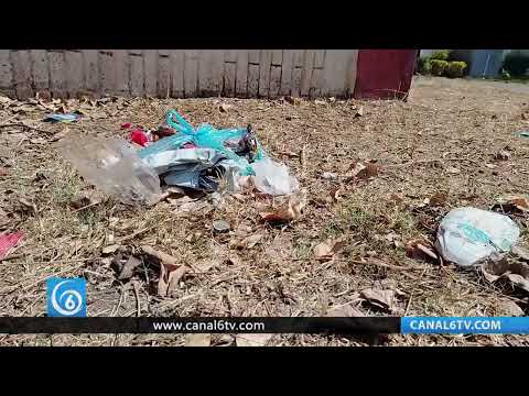 Video: Vecinos denuncian abandono de áreas verdes en Ixtapaluca; piden mantenimiento y seguridad