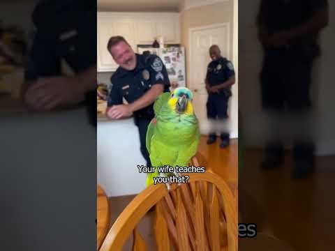 Parrot Roasts Cops Like a Pro