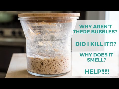 Troubleshooting Your New Sourdough Starter