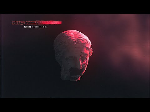 Reginald x Sofian Medjmedj - Nic neříkám (lyric video)