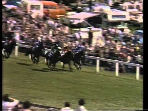 1981 Derby Stakes