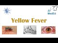 Yellow Fever | Pathogenesis (mosquitoes, virus), Signs & Symptoms, Diagnosis and Treatment