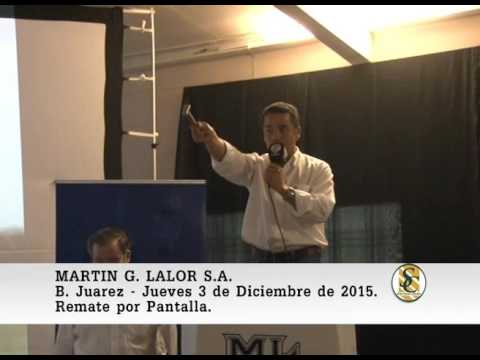 03-12-15 Ventas por Pantalla - Martìn G. Lalor S.A. - B. Juarez.