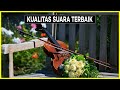 10 BEST VIOLINS FOR BEGINNERS PROS Beautiful Melodious Romantic Sounds