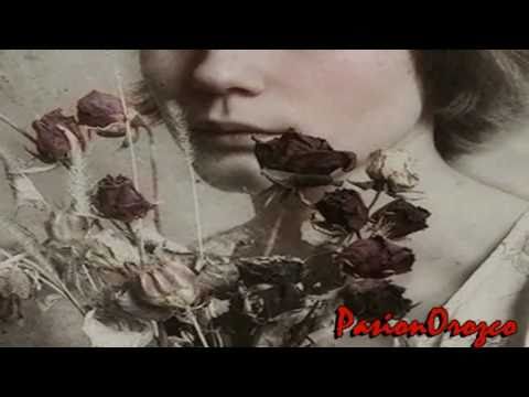 Pétalos Marchitos. Antonio Orozco-David De María.