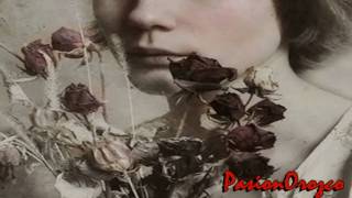 Pétalos Marchitos. Antonio Orozco-David De María.