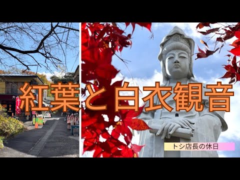 Prefectura de Gunma Takasaki Shiroi Daikannon. Caminando por el monte Kannon entre las hojas de otoño🍁
