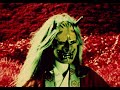 Scott Walker - The Cockfighter