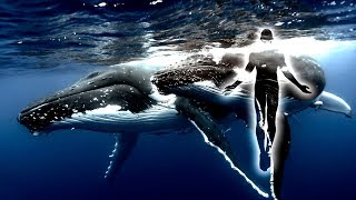 Whales and Dolphins Miracle Meditation Music ♡ 528 Hz Higher Self and Heart Chakra ♡ 432 Hz Music