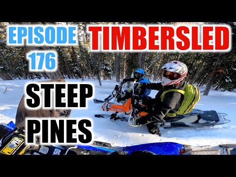 Timbersled Episode 176 - Riding Steep Pine Trees