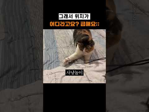 그래서 위치가 어디라고요? 급해요;;
