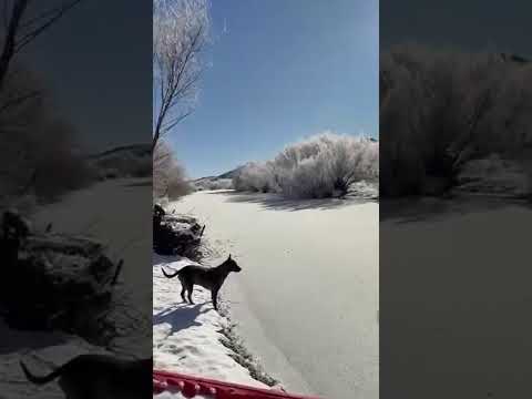 video - Laguna congelada en rio negro - Pichileugu - Pilcaniyeu #Hielo  #nieve