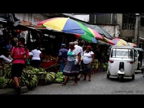 Miguel A Caicedo Mena-La bogotana