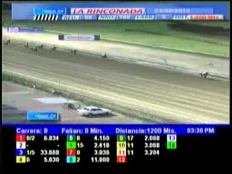 Resumen Sabado, 25 de Agosto de 2012 - La Rinconada