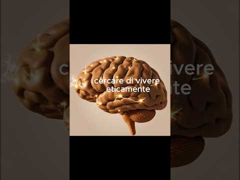 Etica nella vita