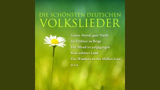 Lustig ist das Zigeunerleben