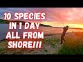 Video Thumbnail for Saskatchewan Multi-Species Shore Fishing Slay Day!