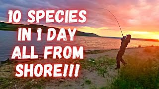 Saskatchewan Multi-Species Shore Fishing Slay Day!