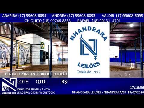 LEILÃO NHANDEARA LEILÕES - 13/07/2026 - NHANDEARA/SP - AOVIVO@BOIHOJEJULHO2026