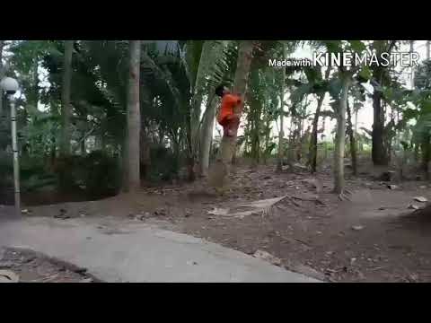 Lawak jowo eps 06 || gara-gara makan nasrem ||