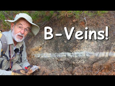 B Type Veins in Porphyry Copper Systems