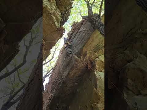 mine mine mine and love slave HCR