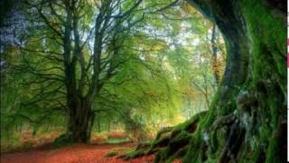 Vino de Amor  ( Andy Williams )