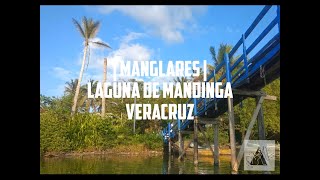 preview picture of video '#MANGLARES LAGUNA DE MANDINGA, VERACRUZ | 2019 | parte 3'