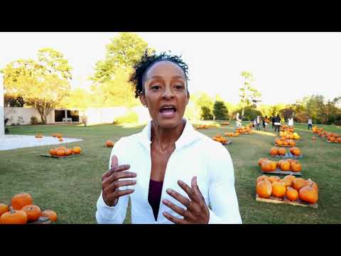 Connecting Beyond the Dinner Table | Holidays with COVID-19 (2020)